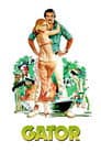 Алігатор
