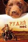 Рудий пес