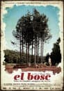 El bosc
