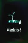 Wattleseed