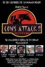 Cows Attack!!
