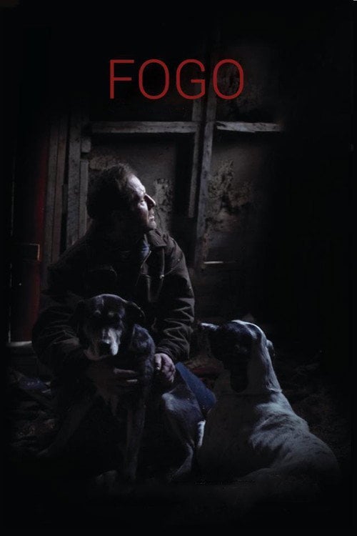 Постер Фоґо (2012)