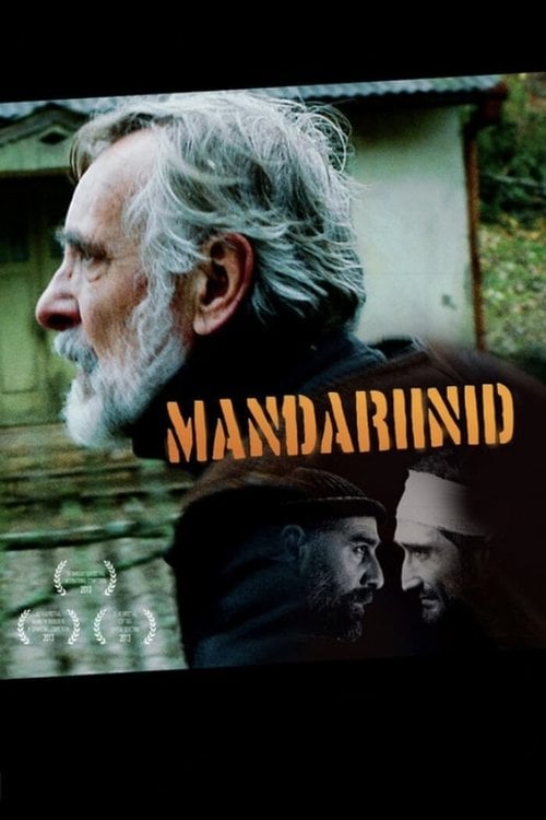 Постер Мандарини (2013)