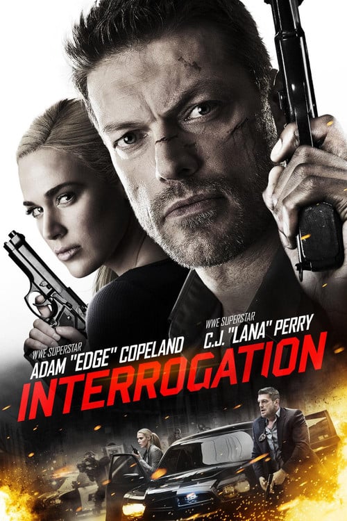 Постер Допит (2016)
