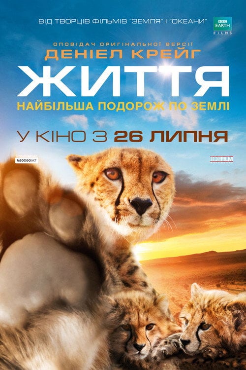 Постер Одне життя (2011)