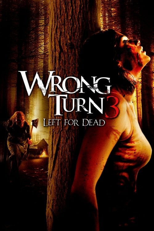 Постер Поворот не туди 3 (2009)