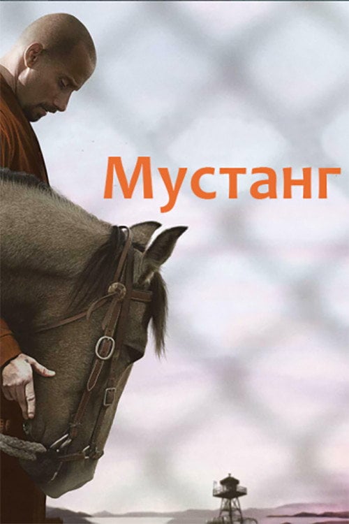Постер Мустанг (2019)