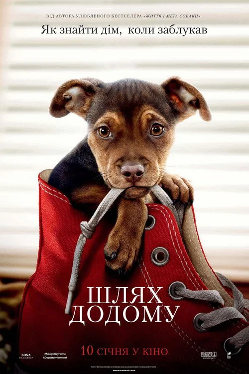 Постер Шлях додому (2019)