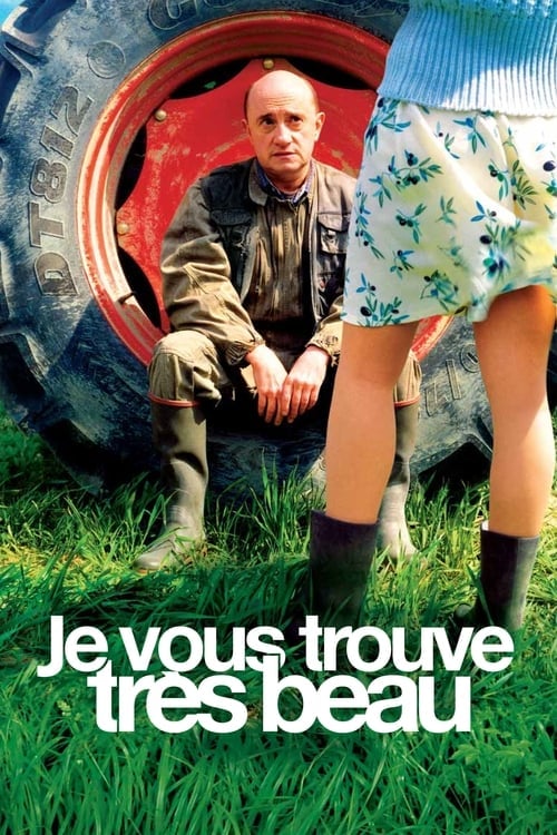 Постер Ви дуже красивий (2005)