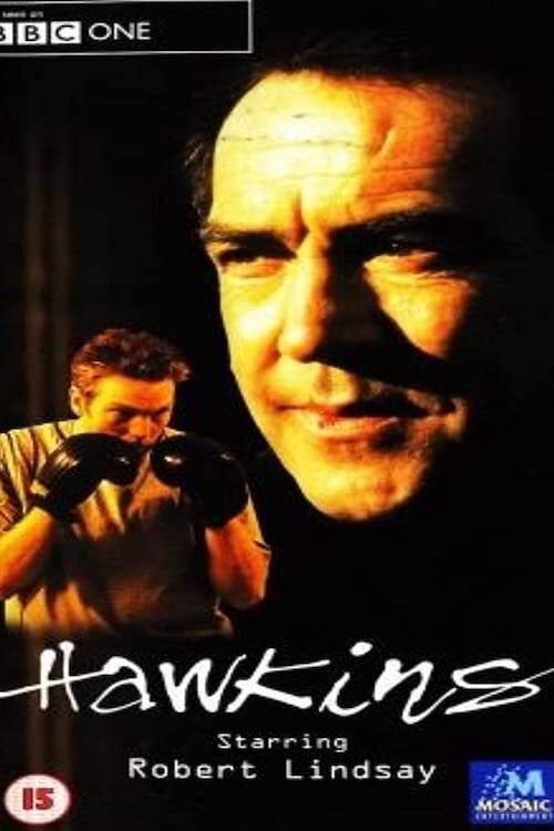 Постер Hawkins (2001)