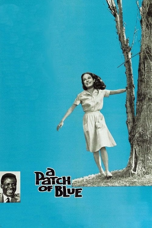 Постер Клаптик неба (1965)