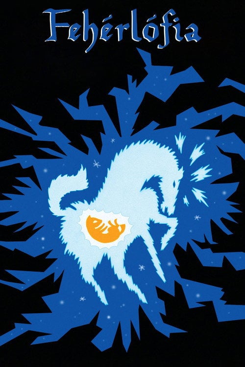 Постер Син білої кобилиці (1981)