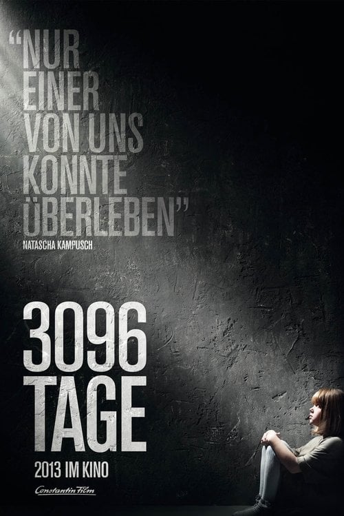 Постер 3096 днів (2013)