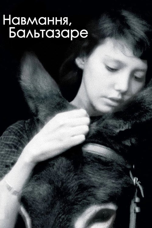 Постер Таке життя, Бальтазар / Навмання, Бальтазаре (1966)