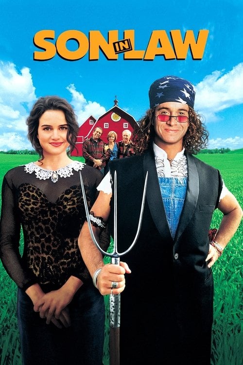 Постер Зятьок / Зять (1993)
