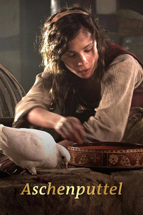 Постер Попелюшка (2011)