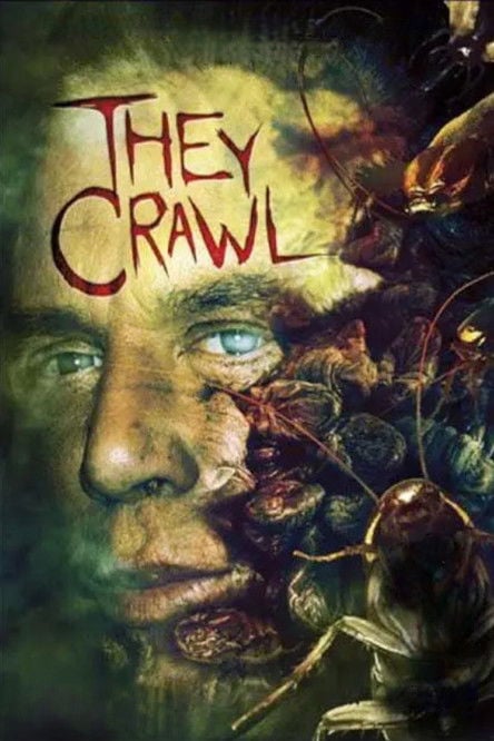 Постер Жуки (2001)