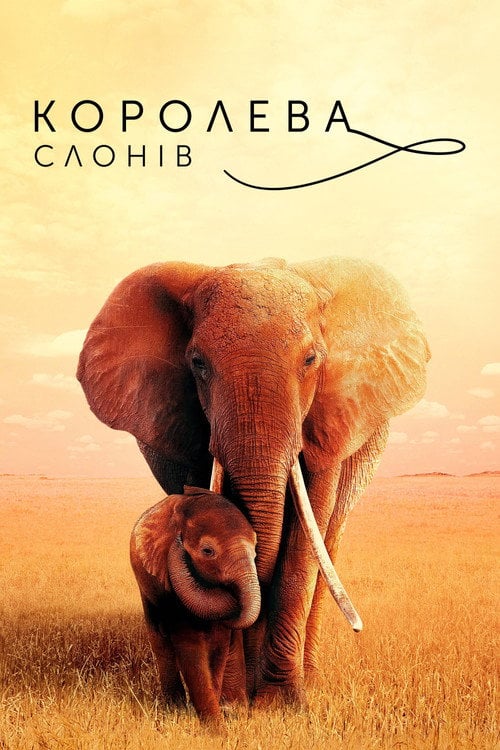 Постер Королева слонів (2019)