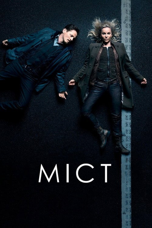 Постер Міст (2011)