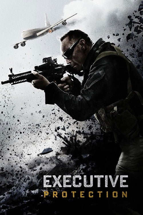 Постер Під захистом (2016)