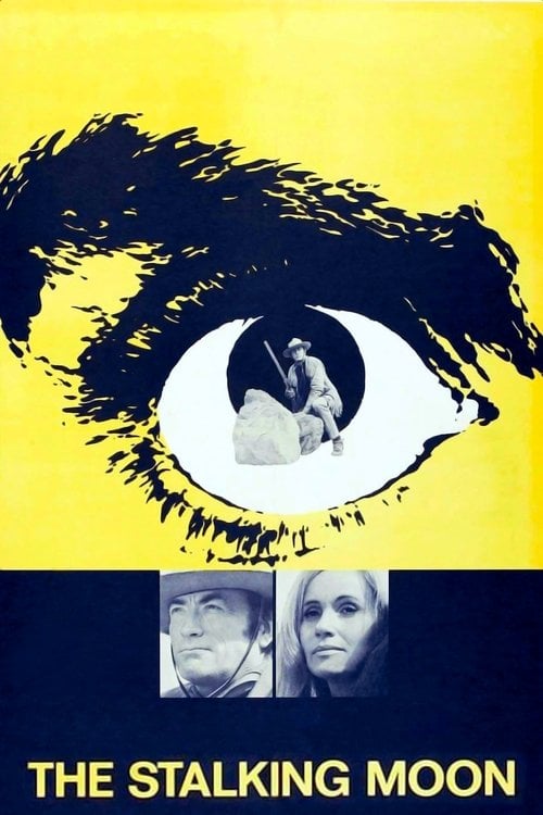 Постер Слідами місяця (1968)