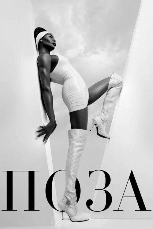 Постер Поза (2018)
