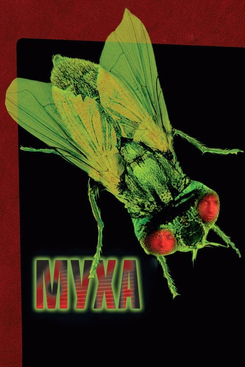 Постер Муха (1986)