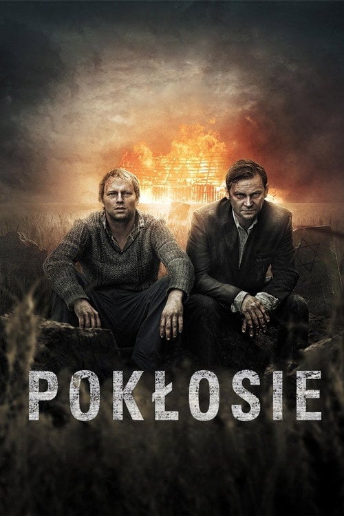 Постер Наслідки (2012)
