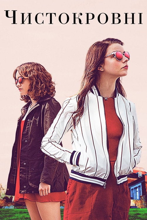 Постер Чистокровний (2018)