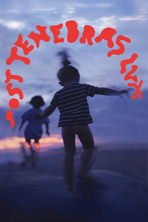 Постер Після мороку світло (2012)