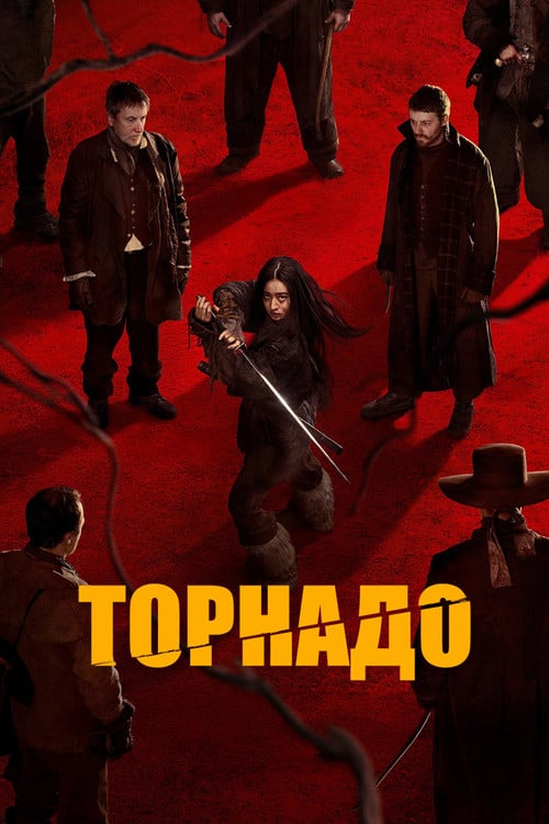 Постер Торнадо (2025)