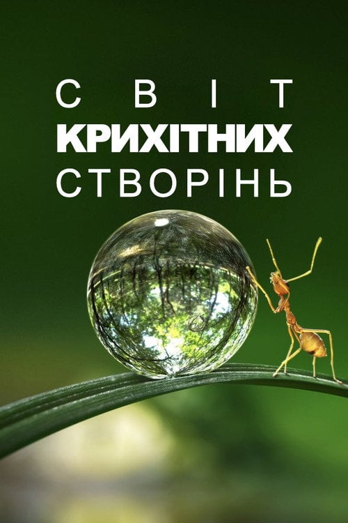 Постер Крихітний світ (2020)