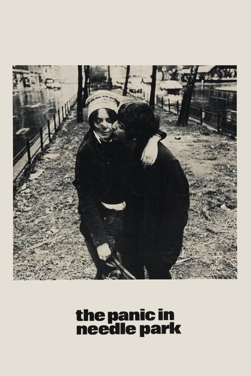 Постер Паніка в Нідл Парк (1971)