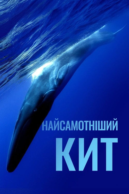Постер Найсамотніший кит (2021)