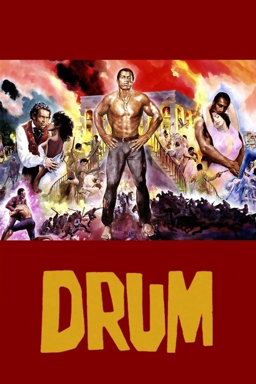 Постер Барабан (1976)