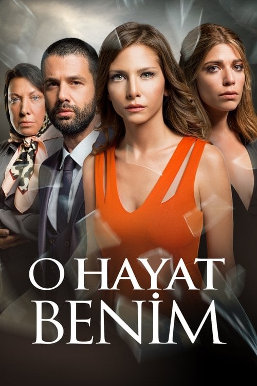 Постер Моє чуже життя (2014)