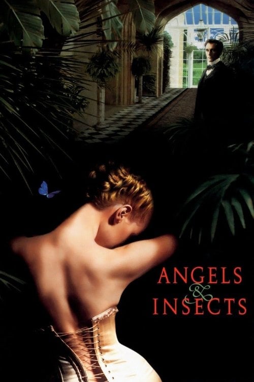 Постер Angels and Insects (1995)