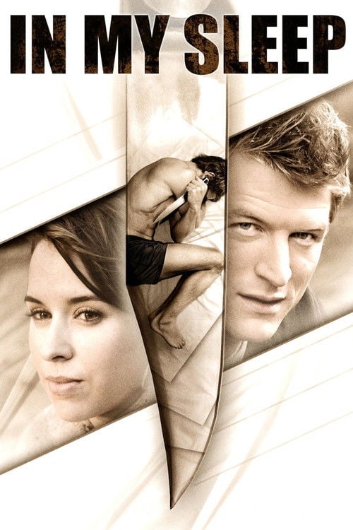 Постер Небезпечні сни (2010)