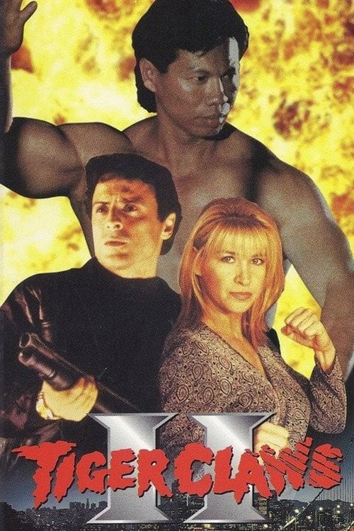 Постер Кіготь Тигра. Частина 2 (1996)