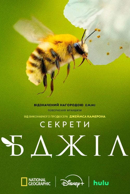 Постер Секрети бджіл (2026)