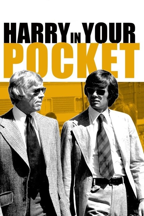 Постер Гаррі - кишеньковий злодій (1973)