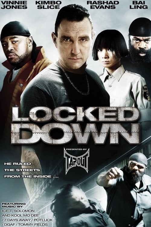 Постер Під замком (2010)