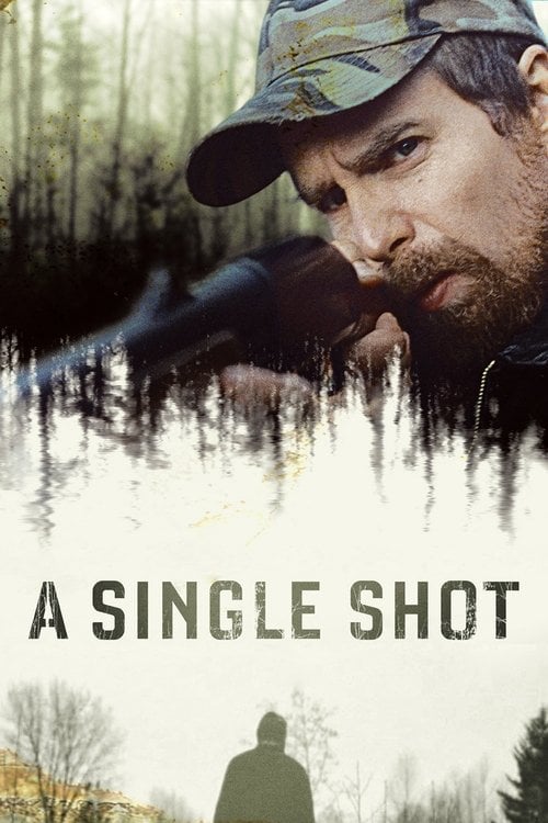 Постер Єдиний постріл (2013)