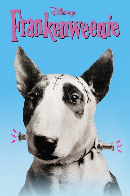 Постер Frankenweenie (1984)