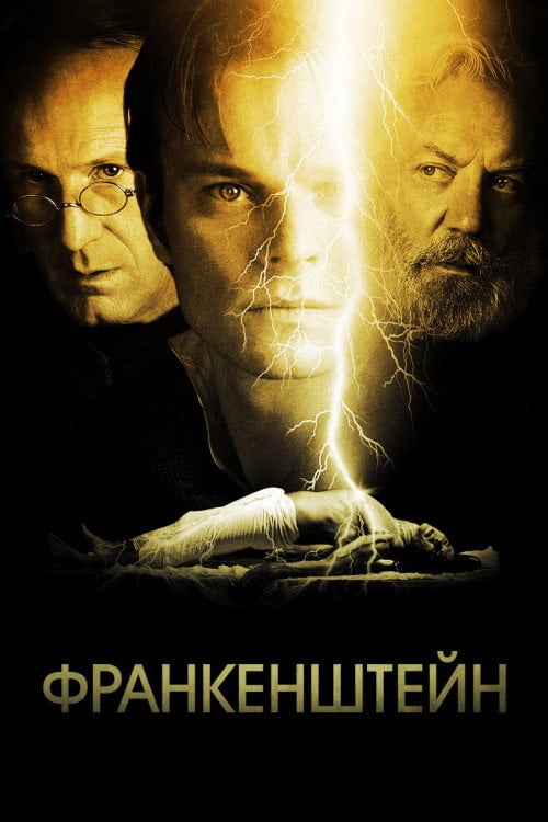 Постер Франкенштейн (2004)
