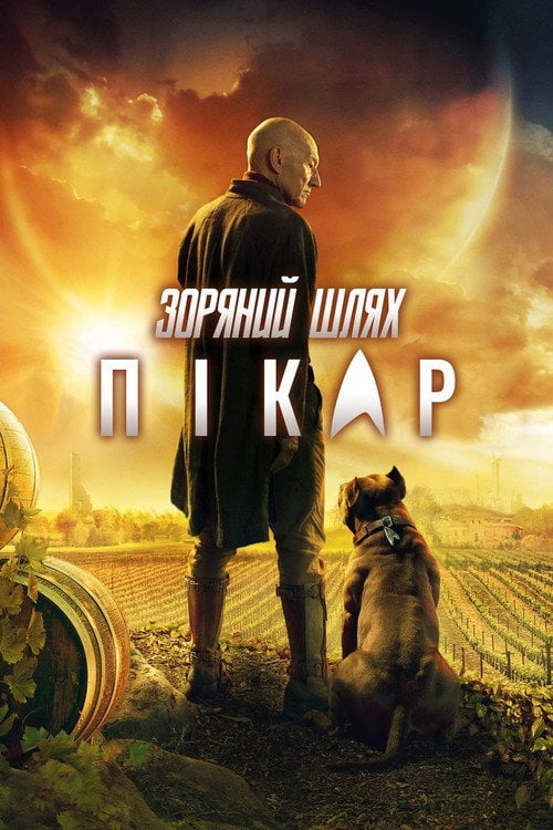 Постер Зоряний шлях: Пікар (2020)