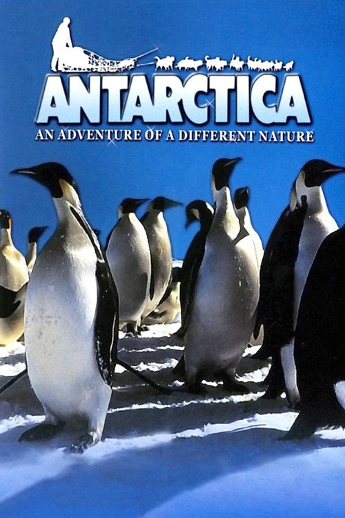 Постер Antarctica: An Adventure of a Different Nature (1991)