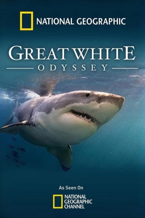 Постер Great White Odyssey (2008)