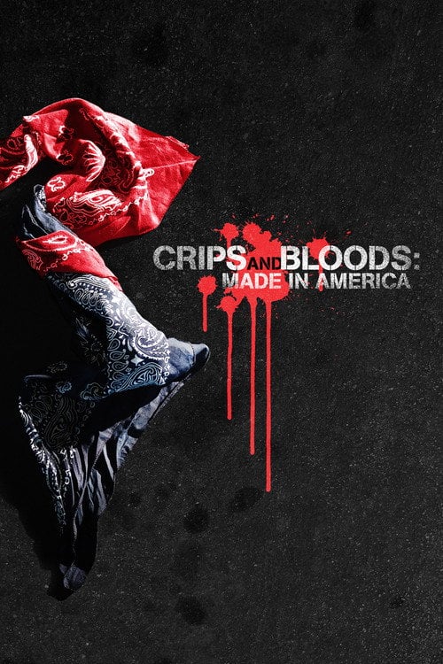 Постер Crips and Bloods: Made in America (2009)
