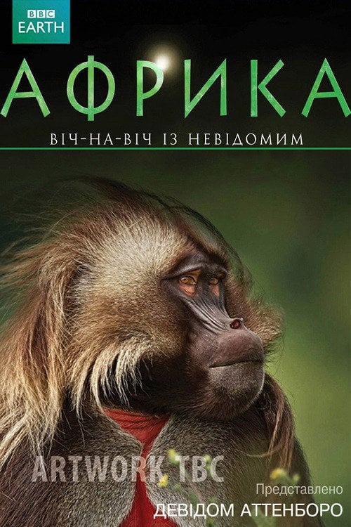 Постер Африка (2013)